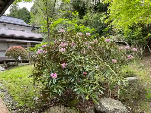 補陀洛院(和歌山県)