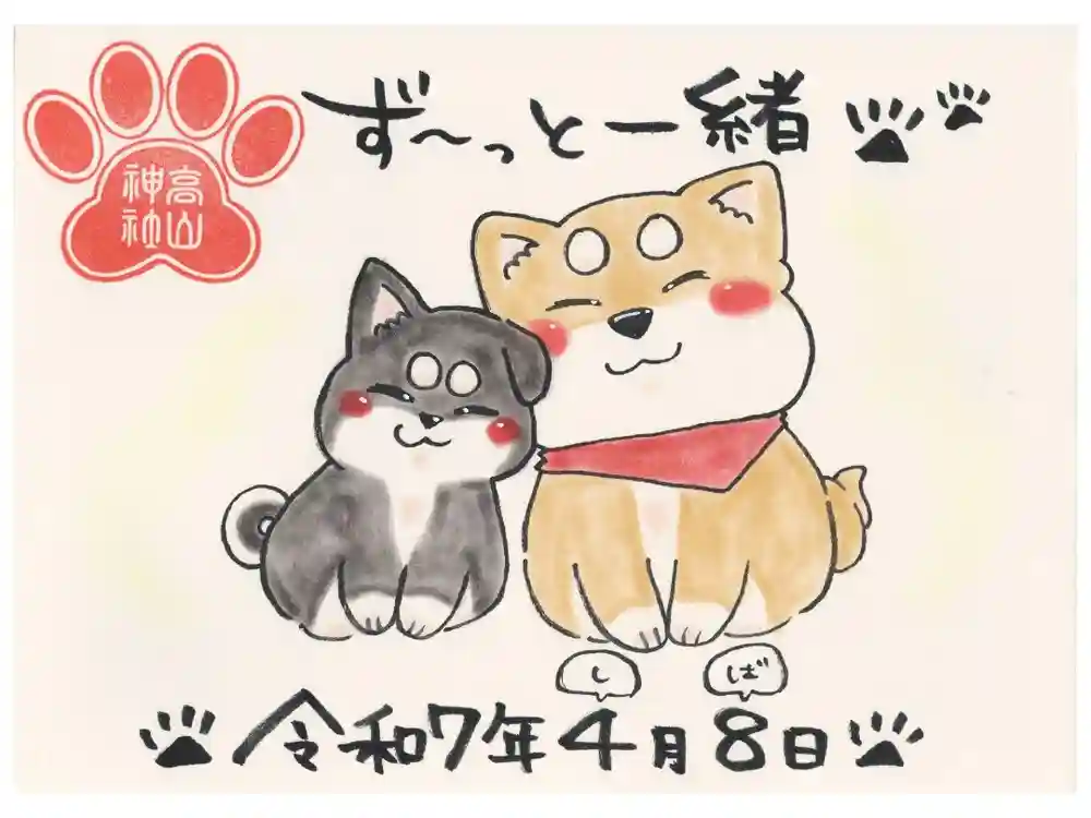 高山神社の御朱印