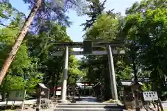 蠶養國神社の鳥居