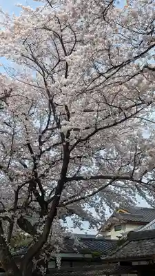 本隆寺（本妙興隆寺）(京都府)