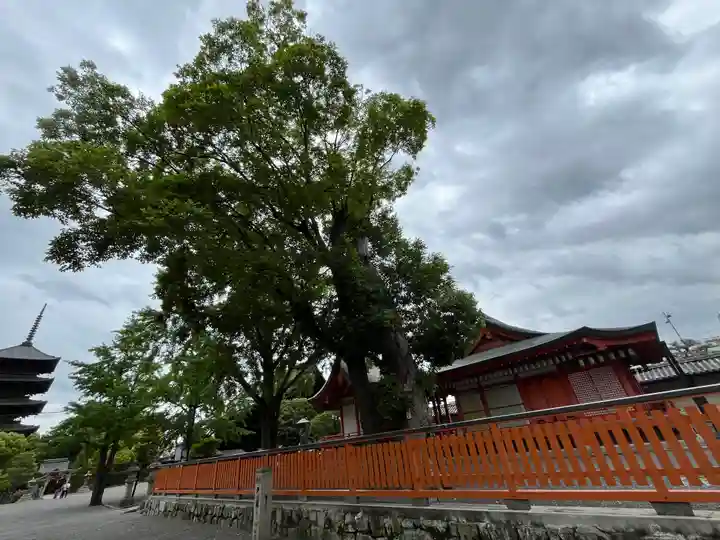 東寺(教王護国寺)(京都府)