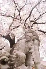 白山神社の狛犬