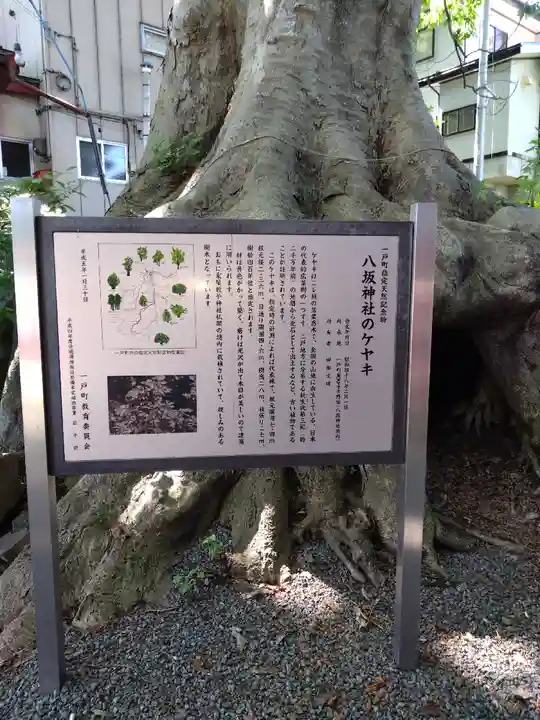 八坂神社(岩手県)
