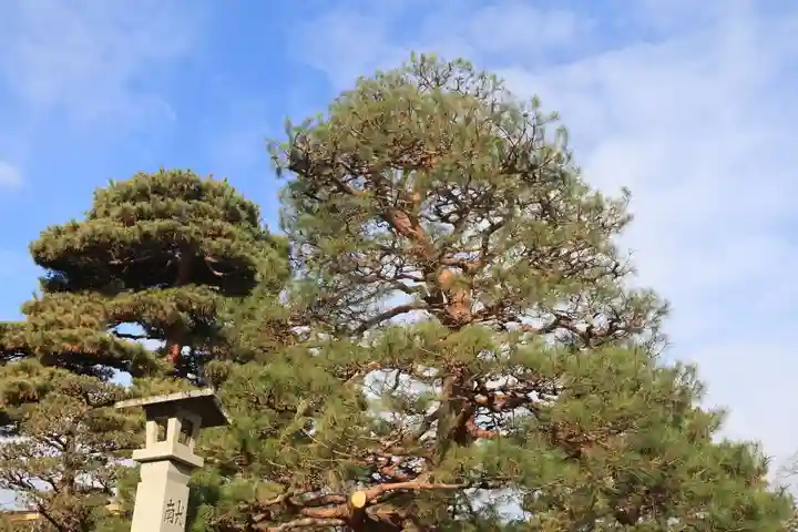 開成山大神宮の庭園