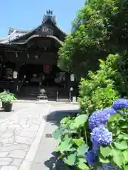 行願寺（革堂）の建物その他