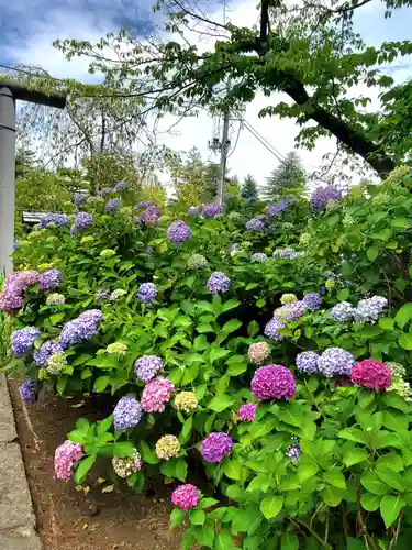 開成山大神宮(福島県)