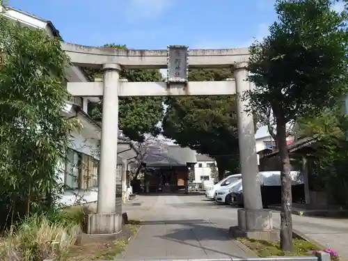 天沼熊野神社の鳥居