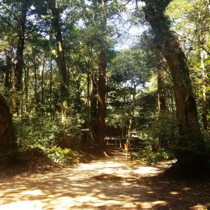 鹿島神宮の自然