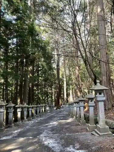 三峯神社(埼玉県)