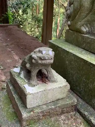 武生神社の狛犬