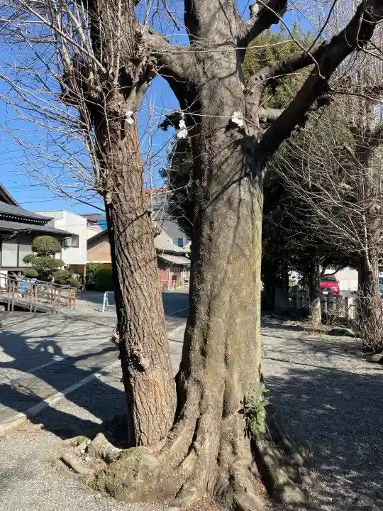 常祗稲荷神社の{uncategorized: "未分類", other: "その他", undefined: "問題あり", building: "その他建物", grave: "お墓", sacred_gate: "鳥居", guardian: "狛犬", statue: "像", buddha: "仏像", history: "歴史", nature: "自然", garden: "庭園", animal: "動物", pagoda: "塔", temizu: "手水舎", mountain_gate: "山門・神門", sanctuary: "本殿・本堂", subordinate: "末社・摂社", art: "芸術", scenery: "景色", jizo: "地蔵", ema: "絵馬", goshuin: "御朱印", omikuji: "おみくじ", items: "授与品その他", amulet: "お守り", goshuincho: "御朱印帳", eats: "食事", festival: "お祭り", votive_dance: "神楽", shichigosan: "七五三参", wedding: "結婚式", experience: "体験その他", initially: "初詣", around: "周辺", anti_infection: "感染症対策"}