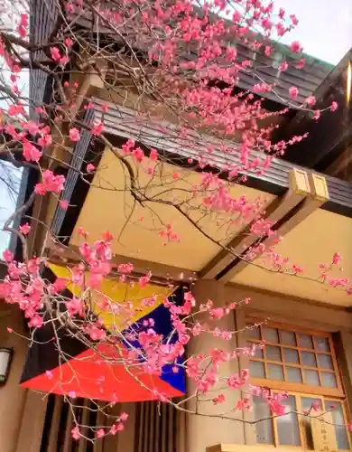 東郷神社(東京都)