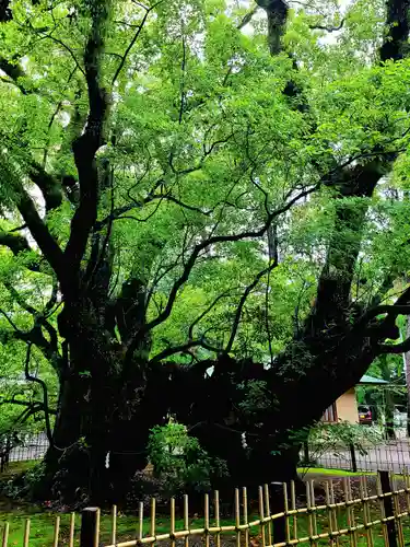 浜松八幡宮(静岡県)
