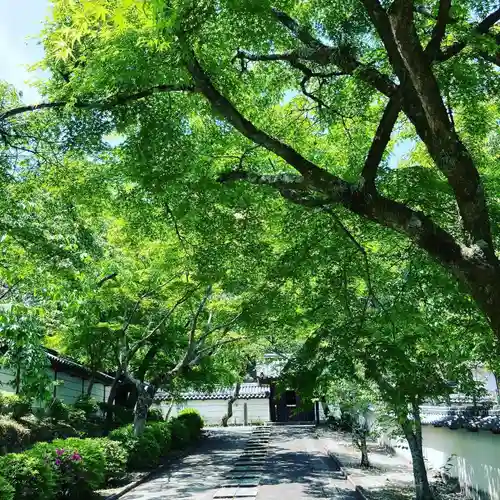 金剛寺のその他建物