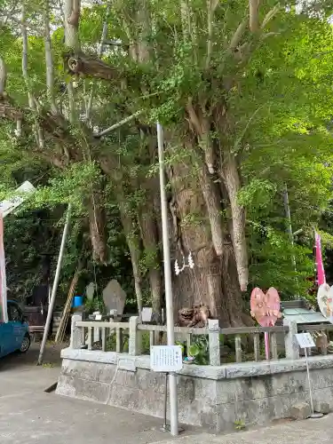 海南神社の{uncategorized: "未分類", other: "その他", undefined: "問題あり", building: "その他建物", grave: "お墓", sacred_gate: "鳥居", guardian: "狛犬", statue: "像", buddha: "仏像", history: "歴史", nature: "自然", garden: "庭園", animal: "動物", pagoda: "塔", temizu: "手水舎", mountain_gate: "山門・神門", sanctuary: "本殿・本堂", subordinate: "末社・摂社", art: "芸術", scenery: "景色", jizo: "地蔵", ema: "絵馬", goshuin: "御朱印", omikuji: "おみくじ", items: "授与品その他", amulet: "お守り", goshuincho: "御朱印帳", eats: "食事", festival: "お祭り", votive_dance: "神楽", shichigosan: "七五三参", wedding: "結婚式", experience: "体験その他", initially: "初詣", around: "周辺", anti_infection: "感染症対策"}