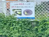 妙金剛寺(滋賀県)