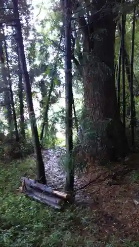 稲荷神社の自然