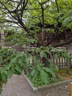 新宿下落合氷川神社(東京都)
