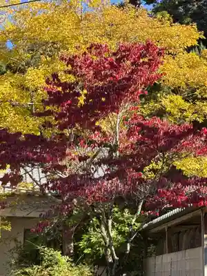 東昌寺(愛知県)