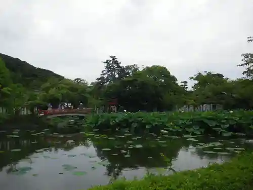 鶴岡八幡宮の庭園