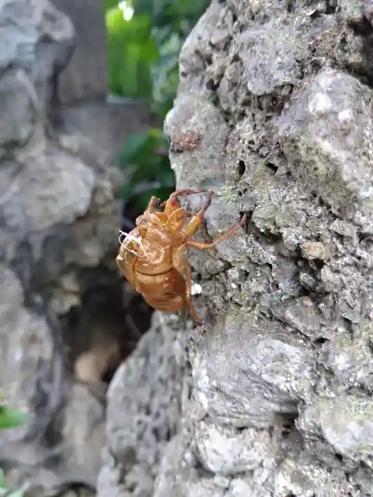 御嶽神社茅萱宮(岐阜県)