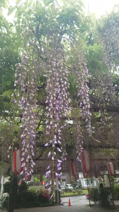 徳王稲荷社・金刀比羅社(愛知県)