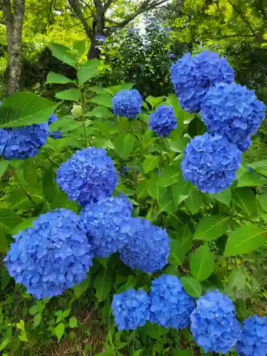 観音寺(京都府)