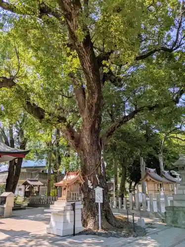 大依羅神社(大阪府)