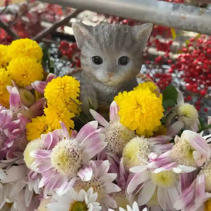 意冨布良神社(滋賀県)