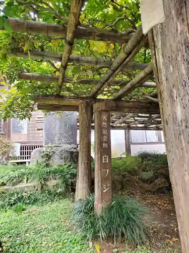 乾徳寺のその他建物