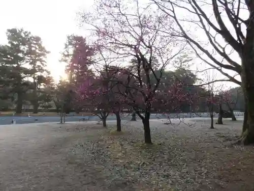 菅原院天満宮神社の庭園