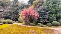 隨心院（随心院）(京都府)