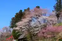 高屋敷稲荷神社の景色