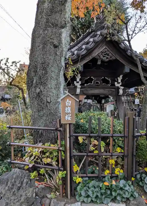 白山神社(東京都)