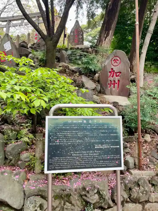 駒込富士神社の{uncategorized: "未分類", other: "その他", undefined: "問題あり", building: "その他建物", grave: "お墓", sacred_gate: "鳥居", guardian: "狛犬", statue: "像", buddha: "仏像", history: "歴史", nature: "自然", garden: "庭園", animal: "動物", pagoda: "塔", temizu: "手水舎", mountain_gate: "山門・神門", sanctuary: "本殿・本堂", subordinate: "末社・摂社", art: "芸術", scenery: "景色", jizo: "地蔵", ema: "絵馬", goshuin: "御朱印", omikuji: "おみくじ", items: "授与品その他", amulet: "お守り", goshuincho: "御朱印帳", eats: "食事", festival: "お祭り", votive_dance: "神楽", shichigosan: "七五三参", wedding: "結婚式", experience: "体験その他", initially: "初詣", around: "周辺", anti_infection: "感染症対策"}