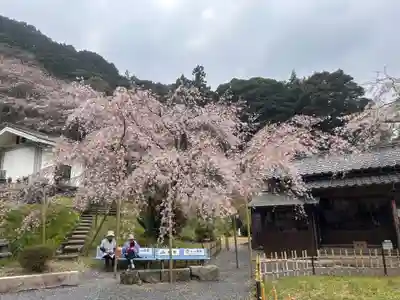 南明寺(山口県)