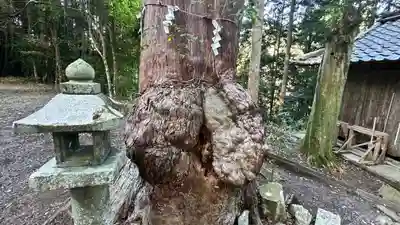 八幡神社(兵庫県)