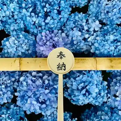 土津神社|こどもと出世の神さまの手水舎