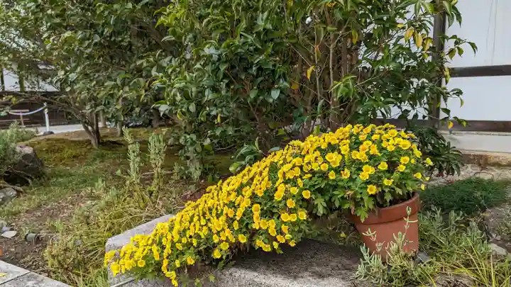 霊鑑寺門跡(京都府)