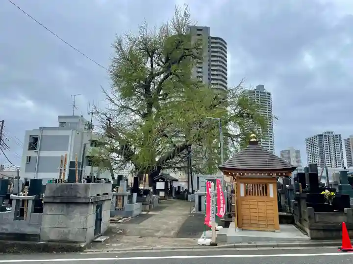 真福寺の{uncategorized: "未分類", other: "その他", undefined: "問題あり", building: "その他建物", grave: "お墓", sacred_gate: "鳥居", guardian: "狛犬", statue: "像", buddha: "仏像", history: "歴史", nature: "自然", garden: "庭園", animal: "動物", pagoda: "塔", temizu: "手水舎", mountain_gate: "山門・神門", sanctuary: "本殿・本堂", subordinate: "末社・摂社", art: "芸術", scenery: "景色", jizo: "地蔵", ema: "絵馬", goshuin: "御朱印", omikuji: "おみくじ", items: "授与品その他", amulet: "お守り", goshuincho: "御朱印帳", eats: "食事", festival: "お祭り", votive_dance: "神楽", shichigosan: "七五三参", wedding: "結婚式", experience: "体験その他", initially: "初詣", around: "周辺", anti_infection: "感染症対策"}