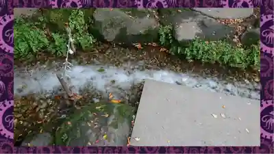 川越氷川神社(埼玉県)