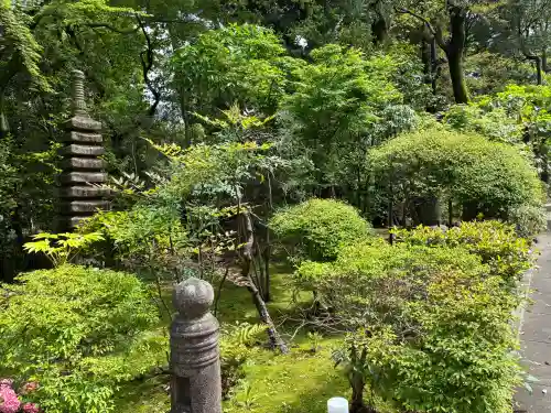 実相院の{uncategorized: "未分類", other: "その他", undefined: "問題あり", building: "その他建物", grave: "お墓", sacred_gate: "鳥居", guardian: "狛犬", statue: "像", buddha: "仏像", history: "歴史", nature: "自然", garden: "庭園", animal: "動物", pagoda: "塔", temizu: "手水舎", mountain_gate: "山門・神門", sanctuary: "本殿・本堂", subordinate: "末社・摂社", art: "芸術", scenery: "景色", jizo: "地蔵", ema: "絵馬", goshuin: "御朱印", omikuji: "おみくじ", items: "授与品その他", amulet: "お守り", goshuincho: "御朱印帳", eats: "食事", festival: "お祭り", votive_dance: "神楽", shichigosan: "七五三参", wedding: "結婚式", experience: "体験その他", initially: "初詣", around: "周辺", anti_infection: "感染症対策"}
