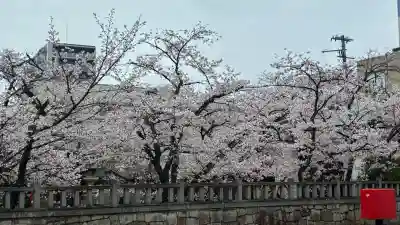天孫神社の{uncategorized: "未分類", other: "その他", undefined: "問題あり", building: "その他建物", grave: "お墓", sacred_gate: "鳥居", guardian: "狛犬", statue: "像", buddha: "仏像", history: "歴史", nature: "自然", garden: "庭園", animal: "動物", pagoda: "塔", temizu: "手水舎", mountain_gate: "山門・神門", sanctuary: "本殿・本堂", subordinate: "末社・摂社", art: "芸術", scenery: "景色", jizo: "地蔵", ema: "絵馬", goshuin: "御朱印", omikuji: "おみくじ", items: "授与品その他", amulet: "お守り", goshuincho: "御朱印帳", eats: "食事", festival: "お祭り", votive_dance: "神楽", shichigosan: "七五三参", wedding: "結婚式", experience: "体験その他", initially: "初詣", around: "周辺", anti_infection: "感染症対策"}