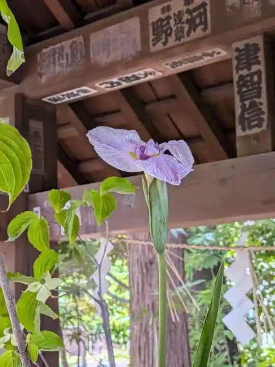 赤坂氷川神社(東京都)