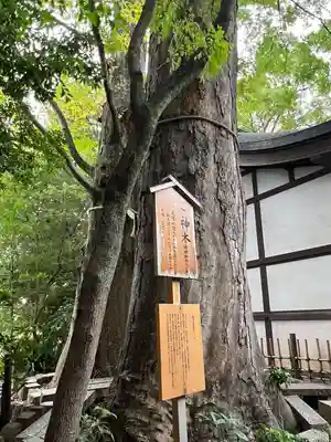 川越氷川神社(埼玉県)
