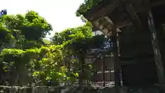 蓮成院(京都府)