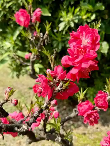 欣浄寺(京都府)