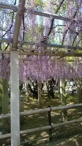 三大神社の自然