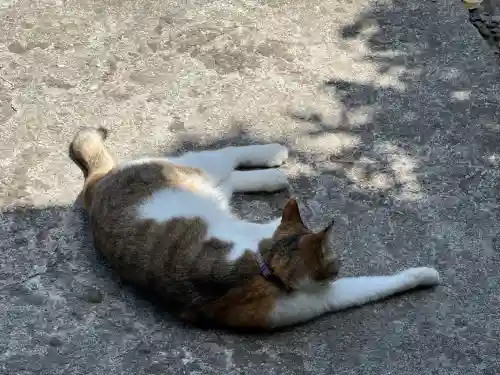 長楽寺(静岡県)