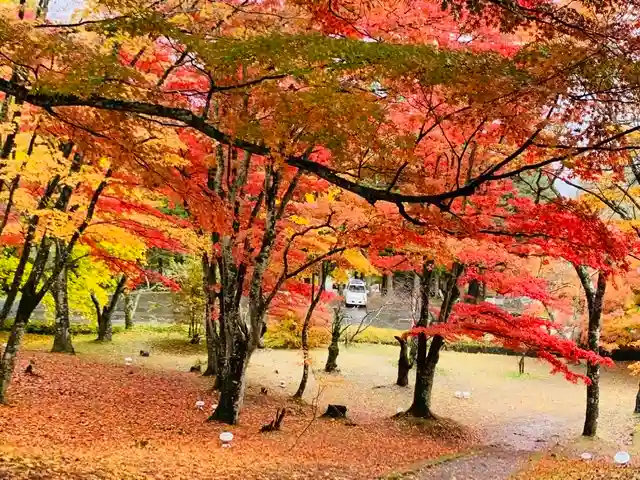 土津神社|こどもと出世の神さまの自然